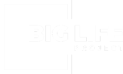Big life project company