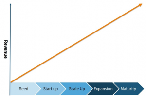 Growth In Revenue Graph 